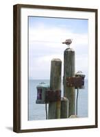 Seagul on Sausalito Pier, Marin County, California-Anna Miller-Framed Photographic Print