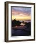 Seagull at Sunset Cliffs Tidepools on the Pacific Ocean, San Diego, California, USA-Christopher Talbot Frank-Framed Premium Photographic Print