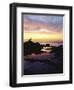 Seagull at Sunset Cliffs Tidepools on the Pacific Ocean, San Diego, California, USA-Christopher Talbot Frank-Framed Premium Photographic Print