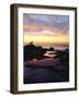 Seagull at Sunset Cliffs Tidepools on the Pacific Ocean, San Diego, California, USA-Christopher Talbot Frank-Framed Photographic Print