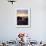 Seagull at Sunset Cliffs Tidepools on the Pacific Ocean, San Diego, California, USA-Christopher Talbot Frank-Framed Photographic Print displayed on a wall