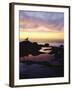 Seagull at Sunset Cliffs Tidepools on the Pacific Ocean, San Diego, California, USA-Christopher Talbot Frank-Framed Photographic Print