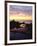 Seagull at Sunset Cliffs Tidepools on the Pacific Ocean, San Diego, California, USA-Christopher Talbot Frank-Framed Photographic Print