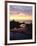 Seagull at Sunset Cliffs Tidepools on the Pacific Ocean, San Diego, California, USA-Christopher Talbot Frank-Framed Photographic Print