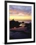 Seagull at Sunset Cliffs Tidepools on the Pacific Ocean, San Diego, California, USA-Christopher Talbot Frank-Framed Photographic Print