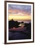 Seagull at Sunset Cliffs Tidepools on the Pacific Ocean, San Diego, California, USA-Christopher Talbot Frank-Framed Photographic Print