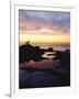 Seagull at Sunset Cliffs Tidepools on the Pacific Ocean, San Diego, California, USA-Christopher Talbot Frank-Framed Photographic Print