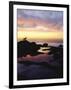 Seagull at Sunset Cliffs Tidepools on the Pacific Ocean, San Diego, California, USA-Christopher Talbot Frank-Framed Photographic Print