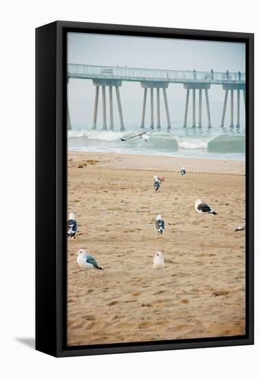 Seagull Coast-Bill Carson Photography-Framed Stretched Canvas