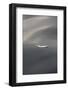 Seagull feather floating on calm water-Stuart Westmorland-Framed Photographic Print