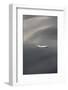 Seagull feather floating on calm water-Stuart Westmorland-Framed Photographic Print