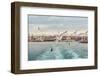 Seagull Istanbul, Bosporus, Turkey. Seagull Flying over the Sea , against the Backdrop of the City-PrimePhoto-Framed Photographic Print