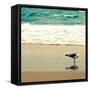 Seagull on Beach-Lisa Hill Saghini-Framed Stretched Canvas