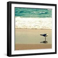 Seagull on Beach-Lisa Hill Saghini-Framed Photographic Print