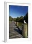 Seagull on Boardwalk by Mahurangi River, Warkworth, Auckland Region, North Island, New Zealand-David Wall-Framed Photographic Print