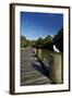 Seagull on Boardwalk by Mahurangi River, Warkworth, Auckland Region, North Island, New Zealand-David Wall-Framed Photographic Print