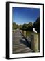 Seagull on Boardwalk by Mahurangi River, Warkworth, Auckland Region, North Island, New Zealand-David Wall-Framed Photographic Print