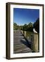 Seagull on Boardwalk by Mahurangi River, Warkworth, Auckland Region, North Island, New Zealand-David Wall-Framed Photographic Print