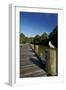 Seagull on Boardwalk by Mahurangi River, Warkworth, Auckland Region, North Island, New Zealand-David Wall-Framed Photographic Print