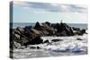 Seagull on Rocky Pier in Long Island Photo Poster Print-null-Stretched Canvas