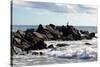 Seagull on Rocky Pier in Long Island Photo Poster Print-null-Stretched Canvas