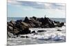 Seagull on Rocky Pier in Long Island Photo Poster Print-null-Mounted Poster