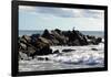 Seagull on Rocky Pier in Long Island Photo Poster Print-null-Framed Poster