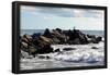 Seagull on Rocky Pier in Long Island Photo Poster Print-null-Framed Poster