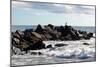 Seagull on Rocky Pier in Long Island Photo Poster Print-null-Mounted Poster