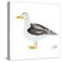 Seagull on White-Julie DeRice-Stretched Canvas