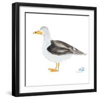 Seagull on White-Julie DeRice-Framed Art Print