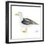 Seagull on White-Julie DeRice-Framed Art Print