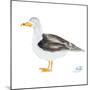 Seagull on White-Julie DeRice-Mounted Art Print