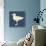 Seagull Silhouette and Lettering-TashaNatasha-Stretched Canvas displayed on a wall