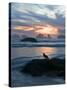 Seagull Silhouette on Coastline, Bandon Beach, Oregon, USA-Nancy Rotenberg-Stretched Canvas