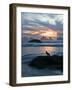 Seagull Silhouette on Coastline, Bandon Beach, Oregon, USA-Nancy Rotenberg-Framed Photographic Print