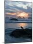 Seagull Silhouette on Coastline, Bandon Beach, Oregon, USA-Nancy Rotenberg-Mounted Photographic Print