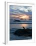 Seagull Silhouette on Coastline, Bandon Beach, Oregon, USA-Nancy Rotenberg-Framed Photographic Print