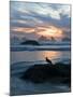 Seagull Silhouette on Coastline, Bandon Beach, Oregon, USA-Nancy Rotenberg-Mounted Photographic Print