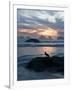 Seagull Silhouette on Coastline, Bandon Beach, Oregon, USA-Nancy Rotenberg-Framed Photographic Print