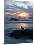 Seagull Silhouette on Coastline, Bandon Beach, Oregon, USA-Nancy Rotenberg-Mounted Photographic Print