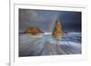 Seagull Storm Watch-Darren White Photography-Framed Photographic Print