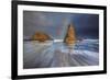 Seagull Storm Watch-Darren White Photography-Framed Photographic Print