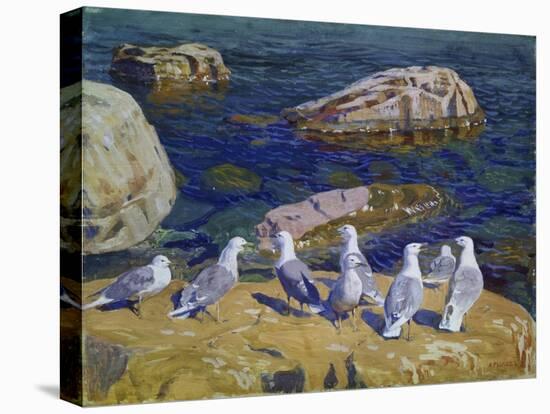 Seagulls, 1910-Arkadi Rylow-Stretched Canvas