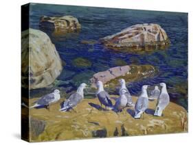Seagulls, 1910-Arkadi Rylow-Stretched Canvas