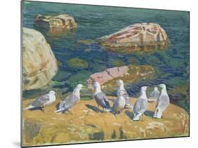 Seagulls, 1910-Arkadij Aleksandrovic Rylov-Mounted Premium Giclee Print