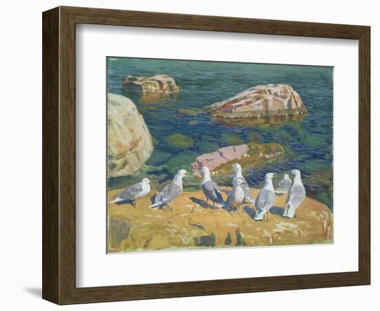 Seagulls, 1910-Arkadij Aleksandrovic Rylov-Framed Giclee Print