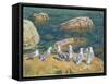 Seagulls, 1910-Arkadij Aleksandrovic Rylov-Framed Stretched Canvas