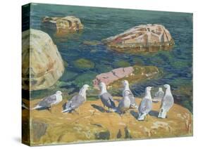 Seagulls, 1910-Arkadij Aleksandrovic Rylov-Stretched Canvas
