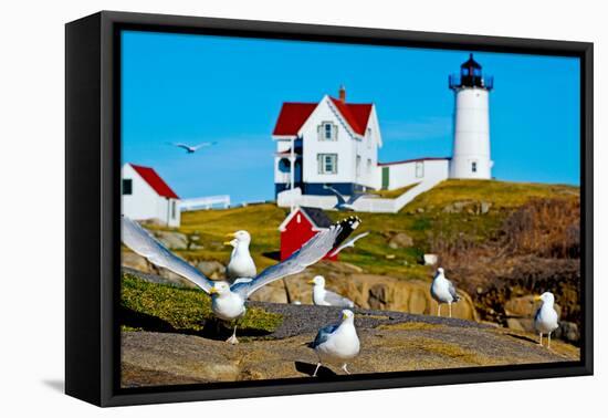 Seagulls at Nubble Lighthouse, Cape Neddick, York, Maine, USA-null-Framed Stretched Canvas